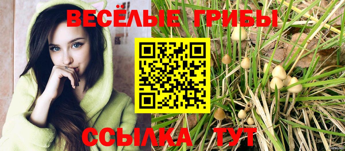 Галлюциногенные грибы Cubensis  Вход с VPN  Ленинск-Кузнецкий 